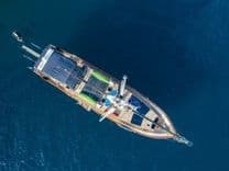 Лучшая цена на Sea U Soon