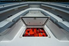 Hung Over 41 CC price