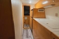 Sun Cat - PROUT price