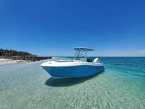 Лучшая цена на 2022 Aquasport 2300 Center Console