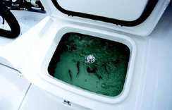 Лучшая цена на 2022 Aquasport 2300 Center Console - AQUASPORT