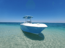 Лучшие предложения покупки яхты 2022 Aquasport 2300 Center Console - AQUASPORT