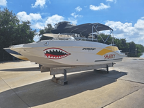 2022 Starcraft SVX 231 OB yacht sale