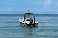 Купить 2021 Blue Wave 2800 Makaira 2800 Makaira