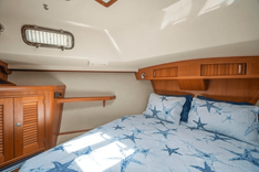 Buy a - 2008 at Shestakov Yacht Sales