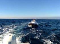 Лучшая цена на 2023 Zar Formenti 49 SL 2023