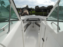 Buy a Playing Nauti 27 Dual Console at Shestakov Yacht Sales