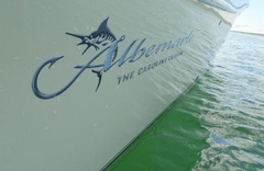 Playing Nauti - ALBEMARLE price