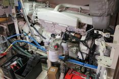 Patricia D - REAL SHIPS price