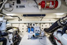 Catch Me 54 Cantius price