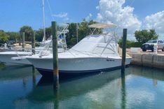 the best price on Lisa's Jag 36 Convertible