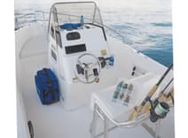 Buy a 2008 Century 2001 Center Console 20 at Shestakov Yacht Sales