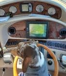 Купить 2003 Sea Ray 390 Motor Yacht 41