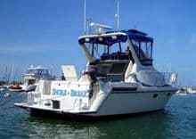 Buy a 1989 Navigator 336 1989 at Shestakov Yacht Sales