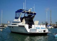 1989 Navigator 336 336 price