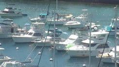 1989 Navigator 336 - NAVIGATOR price