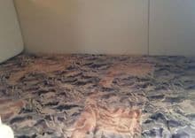 the best price on 1998 Cruisers Yachts 2870 Rogue