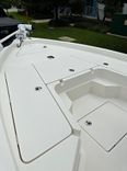 large_4038005.jpg