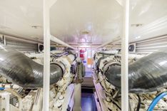 Купить STABILIZED - VIKING