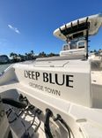 Deep Blue - Boston Whaler yacht sale