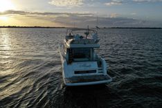 Ollie-Gator - PRESTIGE price