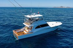 WILL RISE 2005 price