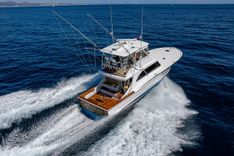 the best price on WILL RISE