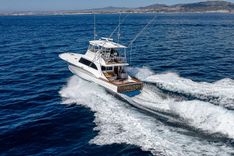 WILL RISE 2005 price