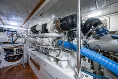 the best price on WILL RISE - CUSTOM CAROLINA