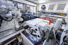 WILL RISE - CUSTOM CAROLINA price