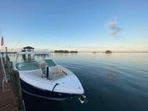 Buy a yacht 2020 Regal 3300 2020