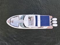 Naut Guilty 2018 price