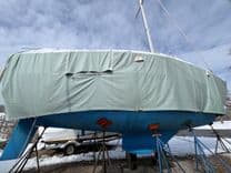 Purple Shamrock 1997