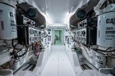 Chasin' Tail 65 price