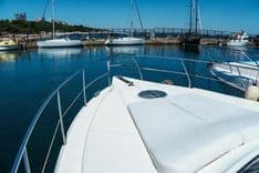 Лучшая цена на Rodman 41