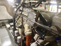 Купить ASANTE 2005