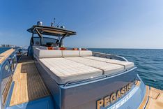 Купить PEGASUS 50