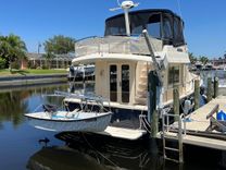 NAUTI DOG - MAINSHIP