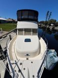 NAUTI DOG 34 price