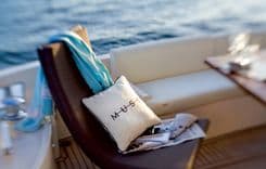 Лучшая цена на 74 Muse (Demo Boat)