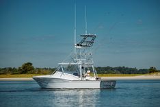 Купить Nuts and Bolts - SCOPINICH