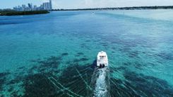 the best price on 2018 Everglades 335 Center Console - Everglades