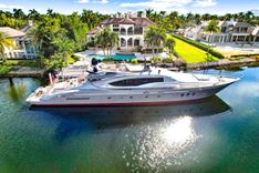 Купить Izumi 2008