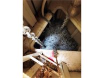 the best price on SEA MONSTER