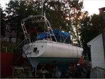 INVICTUS - MOODY price