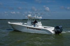 Лучшая цена на Rags 2 Fishes