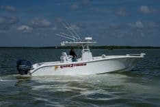 Купить Rags 2 Fishes 32