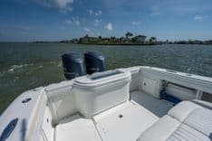 Лучшая цена на Rags 2 Fishes