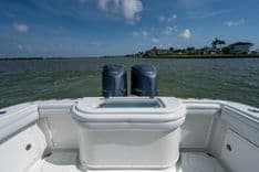 Купить Rags 2 Fishes