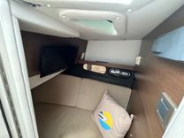 Купить CHASING THE SUN 2016